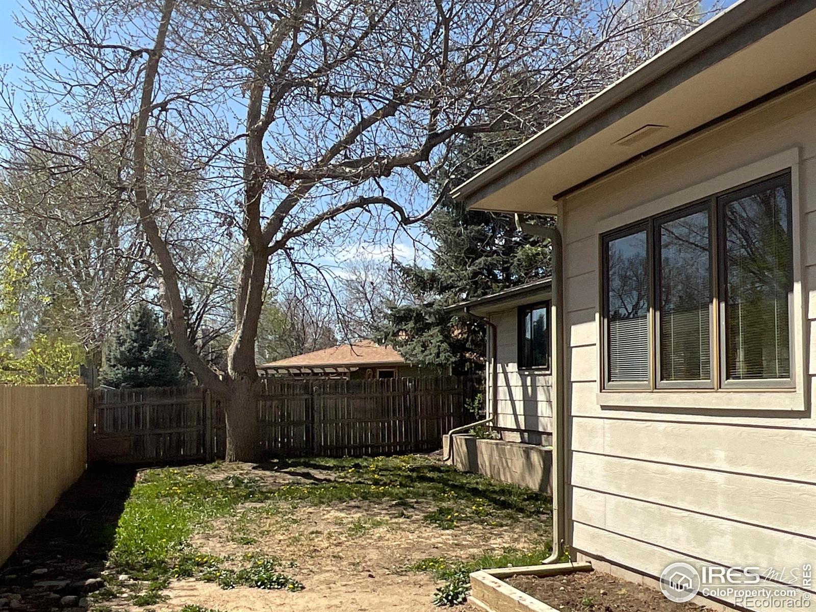 MLS Image #18 for 1525  peterson place,longmont, Colorado