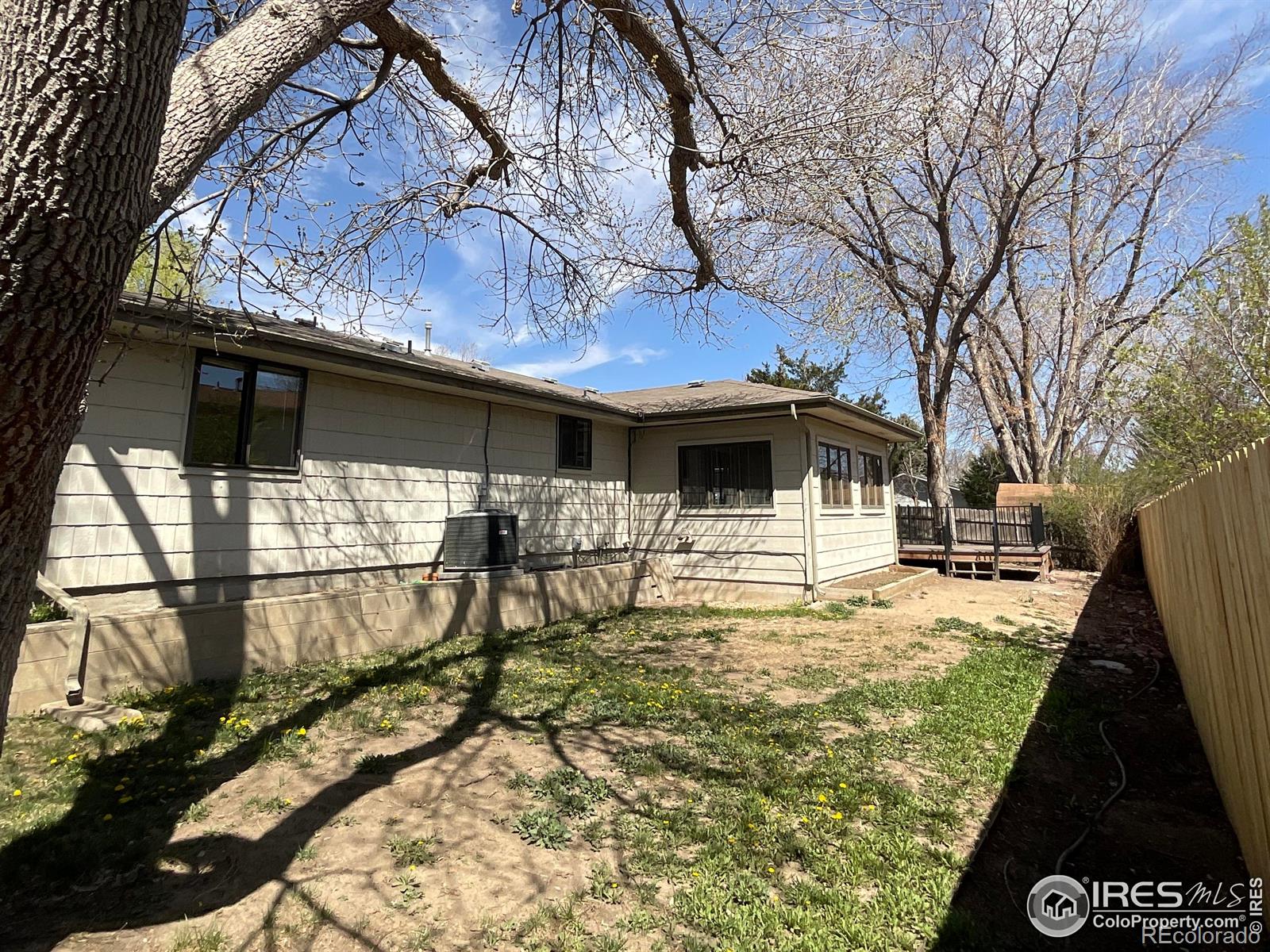 MLS Image #19 for 1525  peterson place,longmont, Colorado