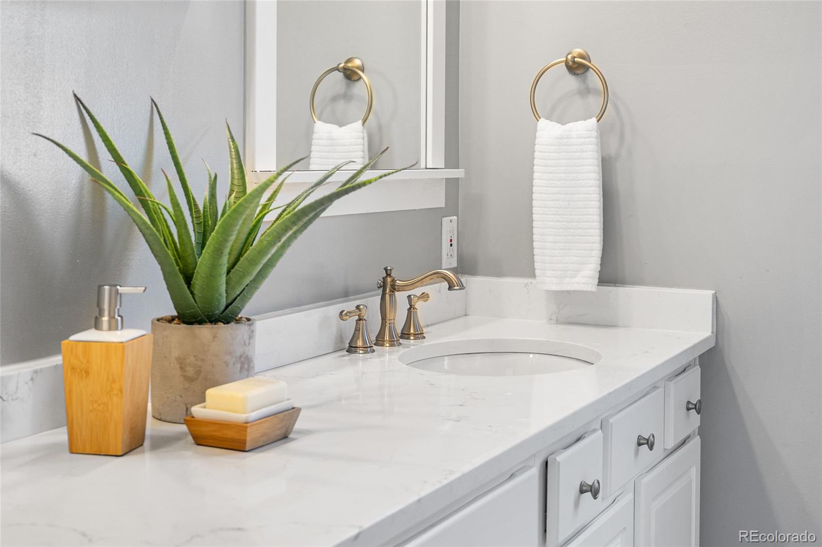 MLS Image #22 for 1065  jackson street,denver, Colorado