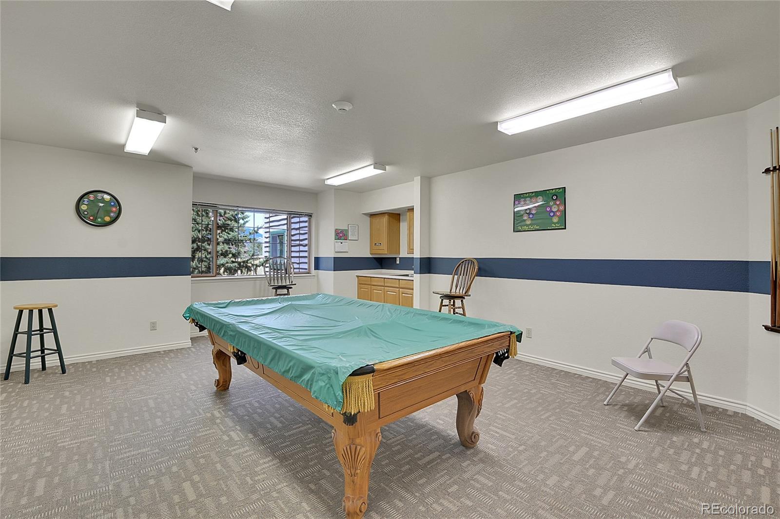 MLS Image #11 for 31719  rocky village drive,evergreen, Colorado