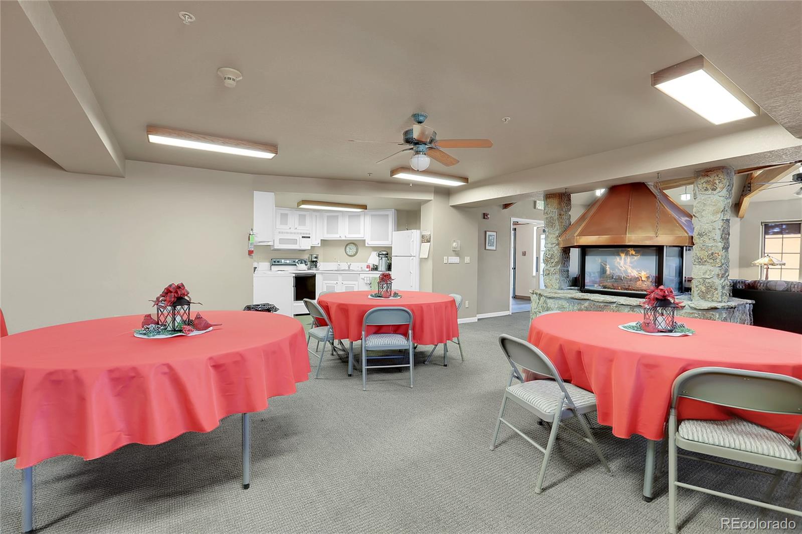 MLS Image #6 for 31719  rocky village drive,evergreen, Colorado