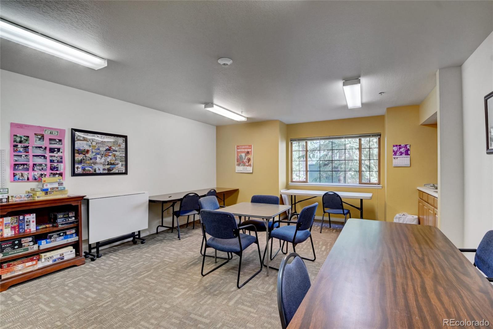 MLS Image #8 for 31719  rocky village drive,evergreen, Colorado