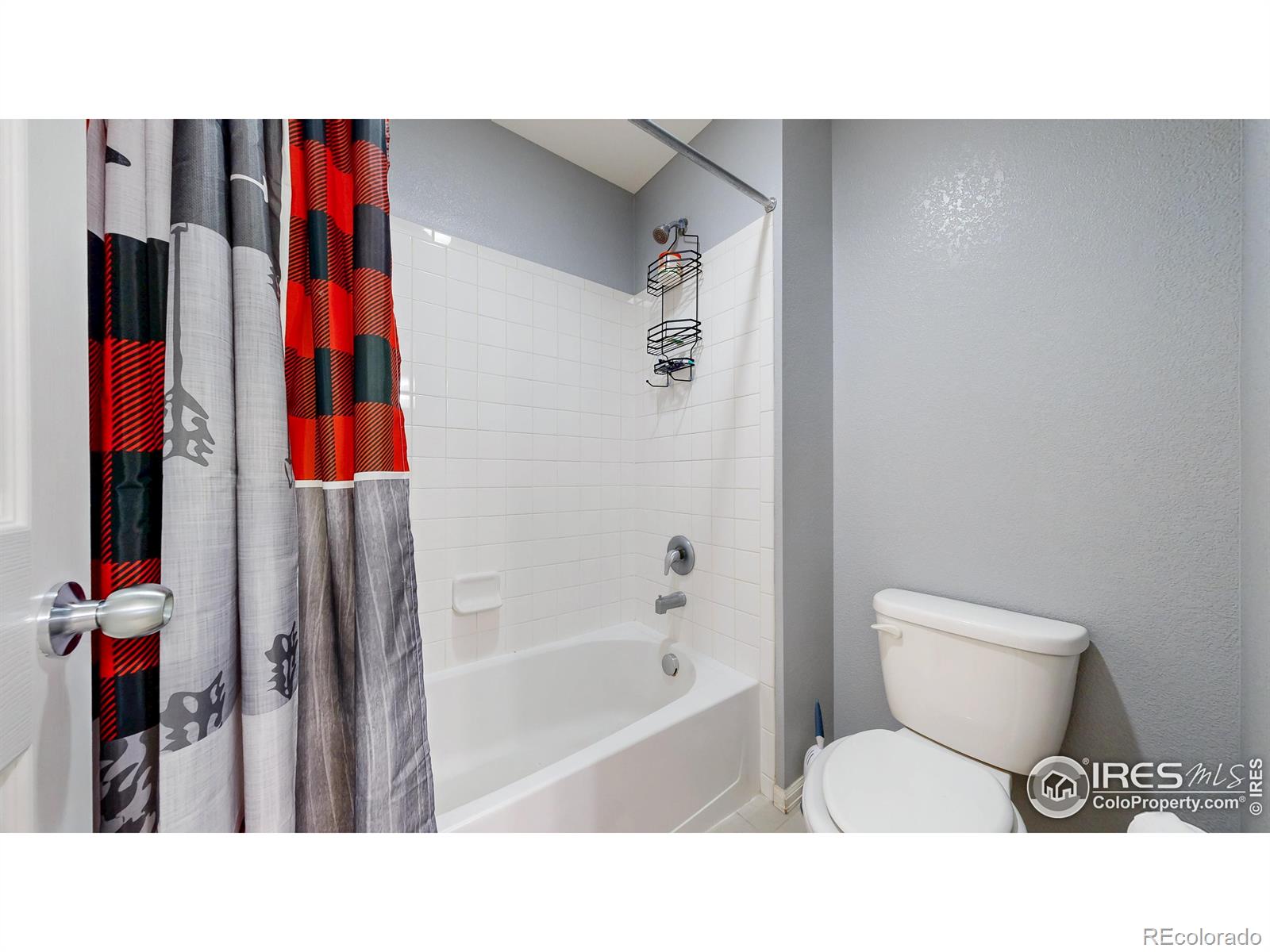 MLS Image #27 for 2267  stonefish drive,windsor, Colorado