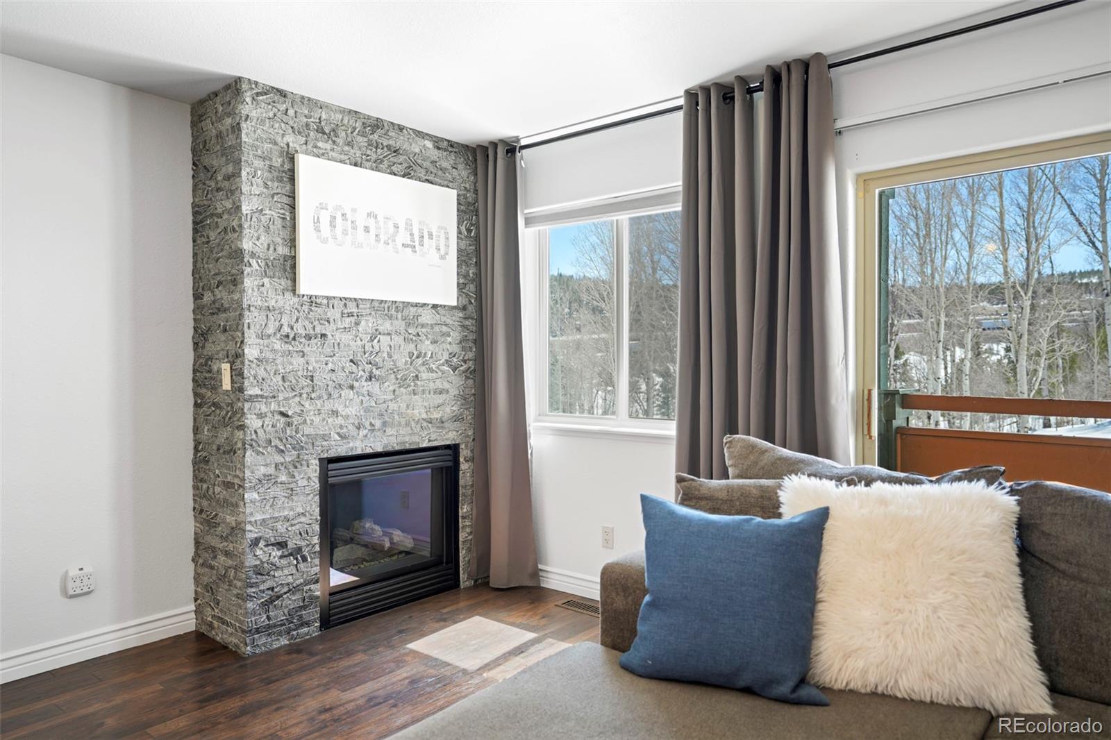 MLS Image #19 for 201  ryan gulch road,silverthorne, Colorado