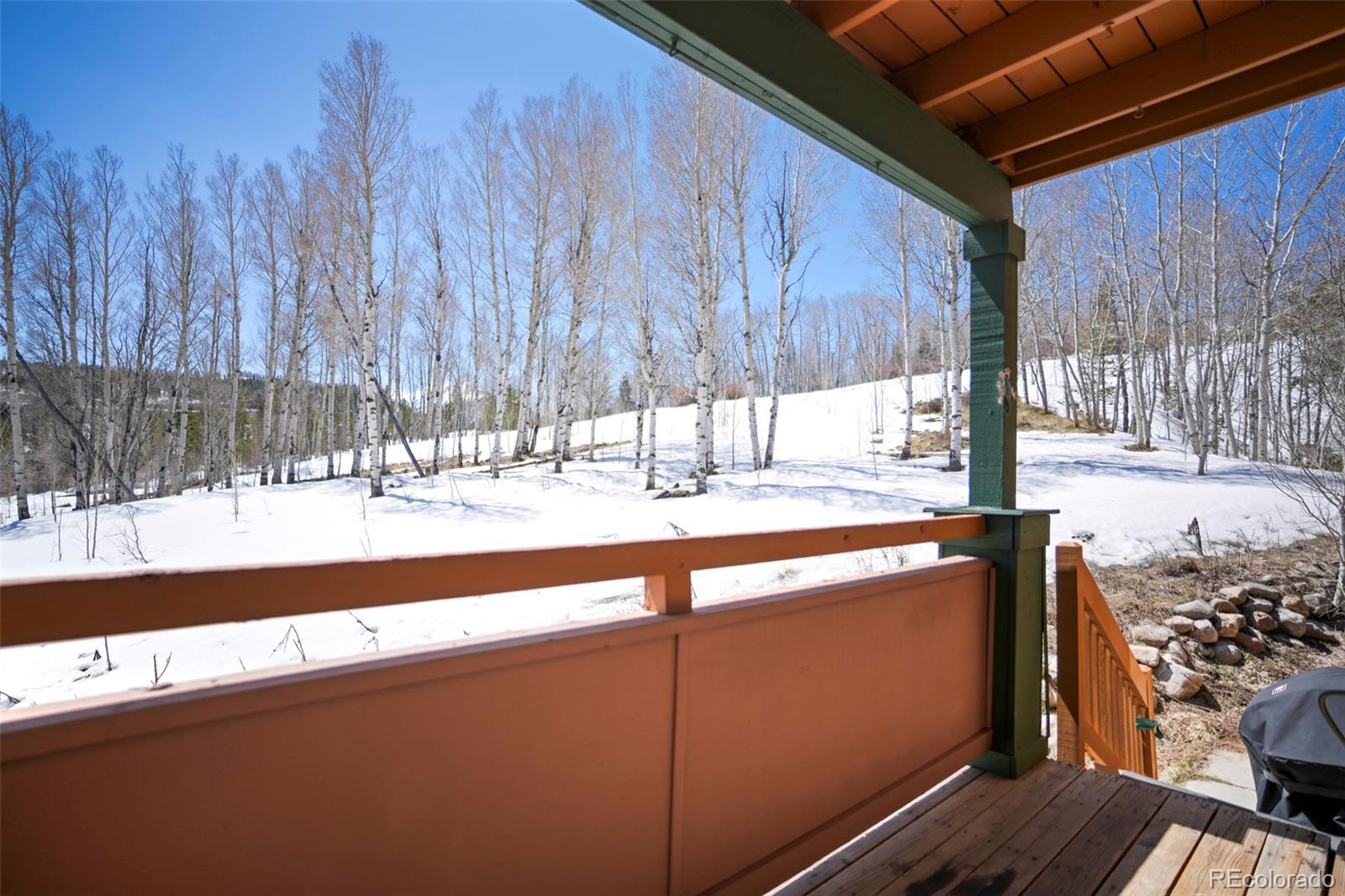 MLS Image #20 for 201  ryan gulch road,silverthorne, Colorado