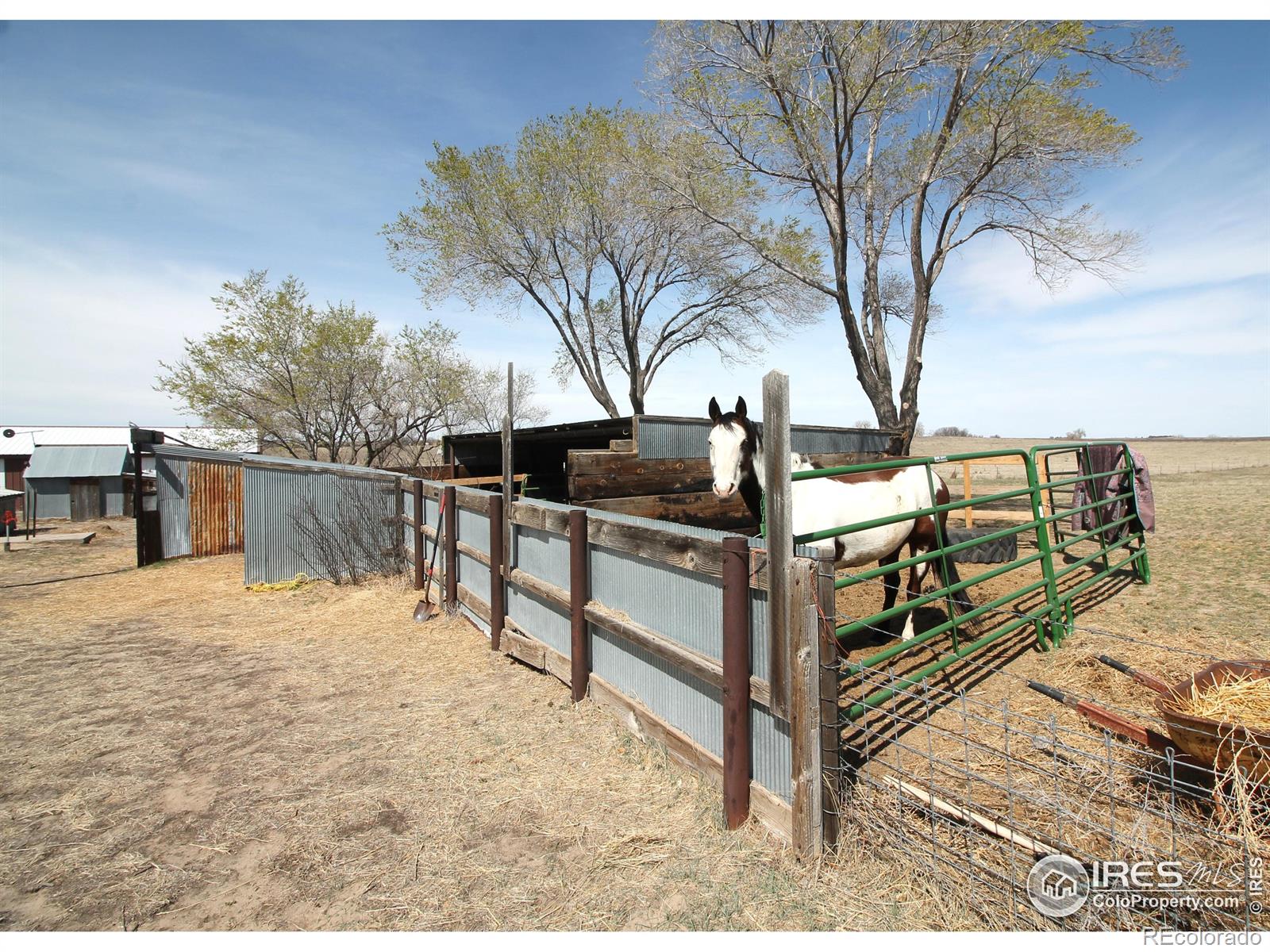 MLS Image #27 for 15375  county road 28.1 ,sterling, Colorado