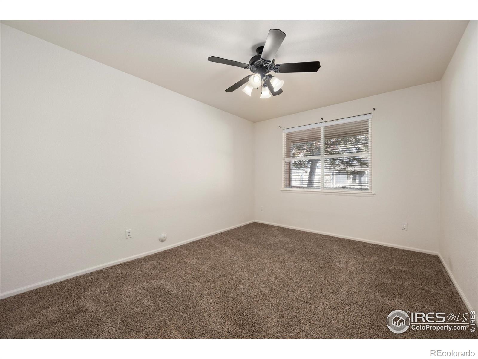 MLS Image #16 for 1921  grays peak drive,loveland, Colorado