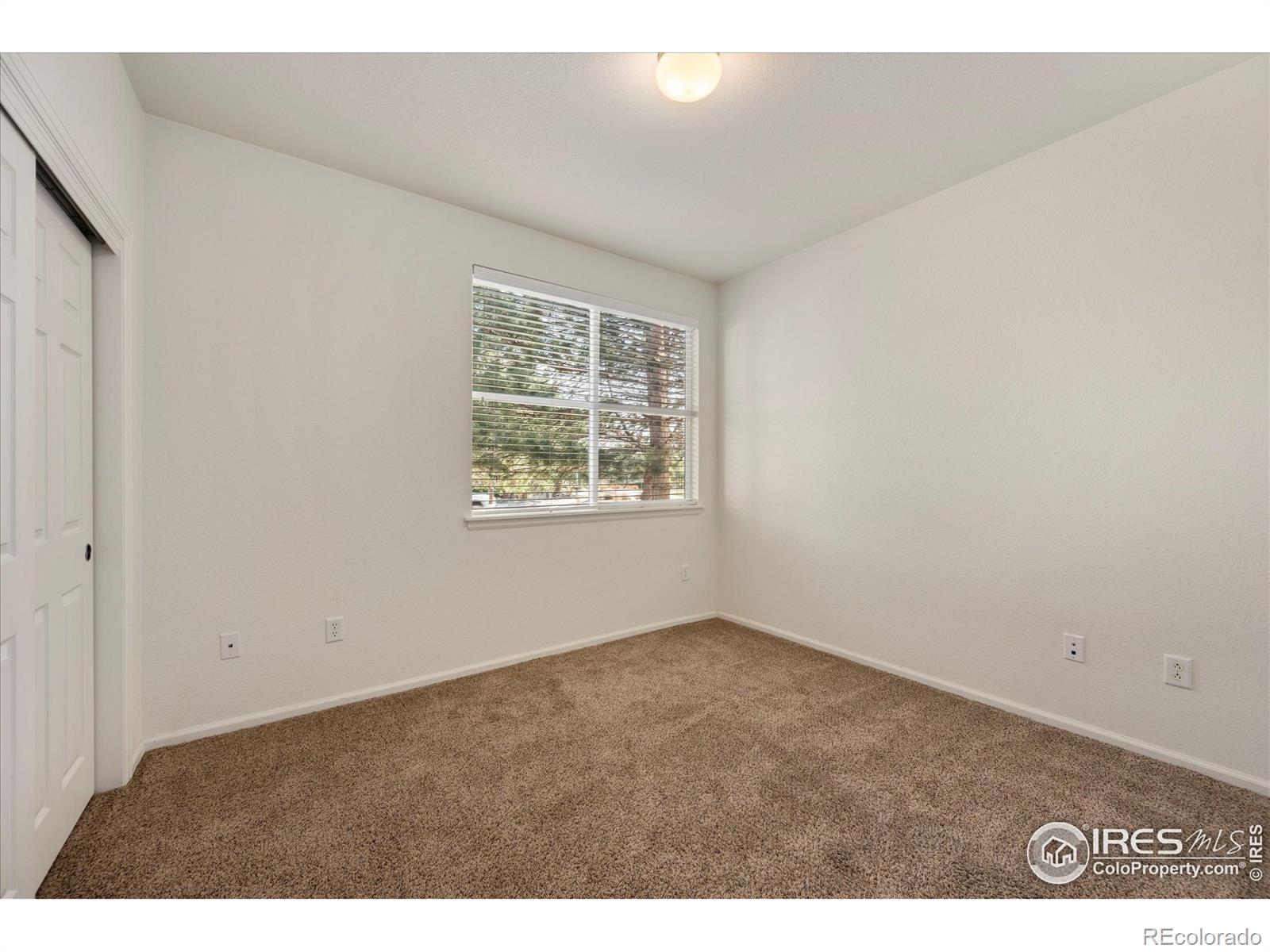 MLS Image #21 for 1921  grays peak drive,loveland, Colorado