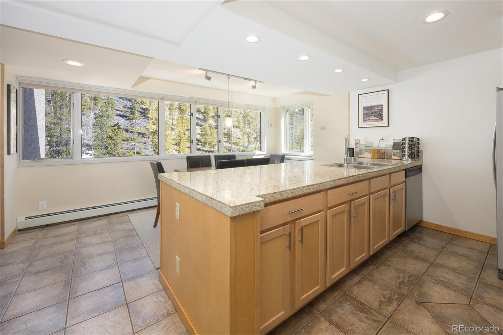 MLS Image #16 for 22097  saints john road,dillon, Colorado