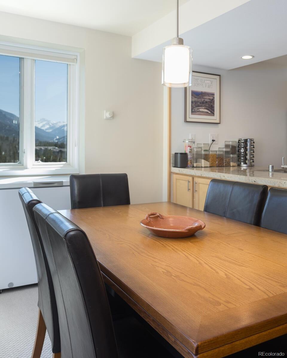 MLS Image #19 for 22097  saints john road,dillon, Colorado
