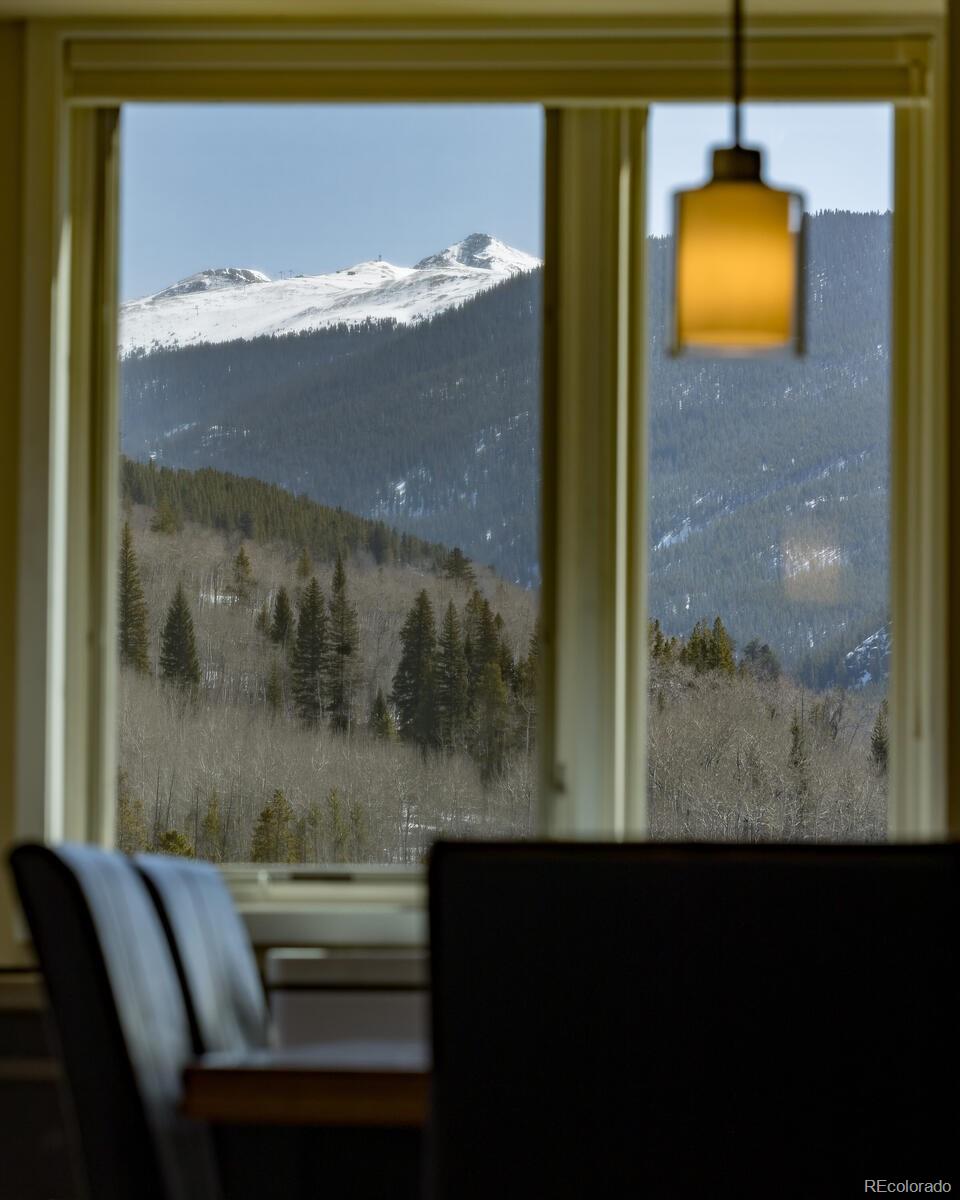 MLS Image #21 for 22097  saints john road,dillon, Colorado