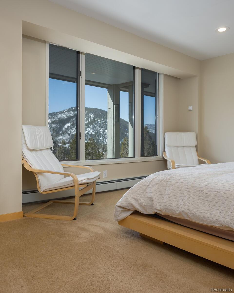 MLS Image #24 for 22097  saints john road,dillon, Colorado