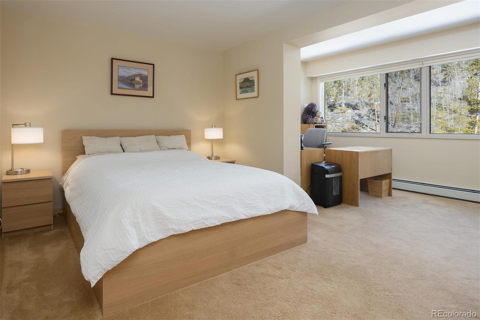 MLS Image #28 for 22097  saints john road,dillon, Colorado