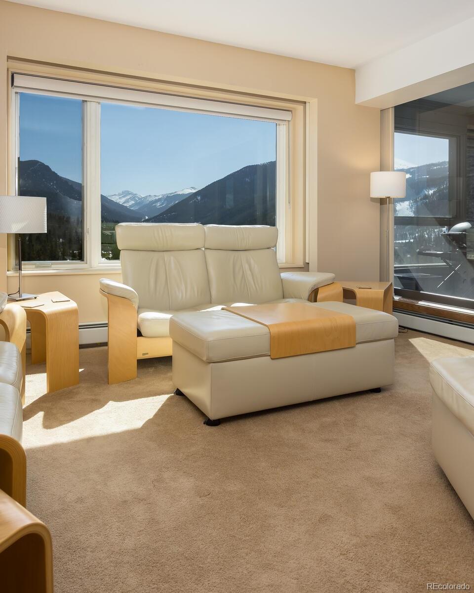MLS Image #4 for 22097  saints john road,dillon, Colorado