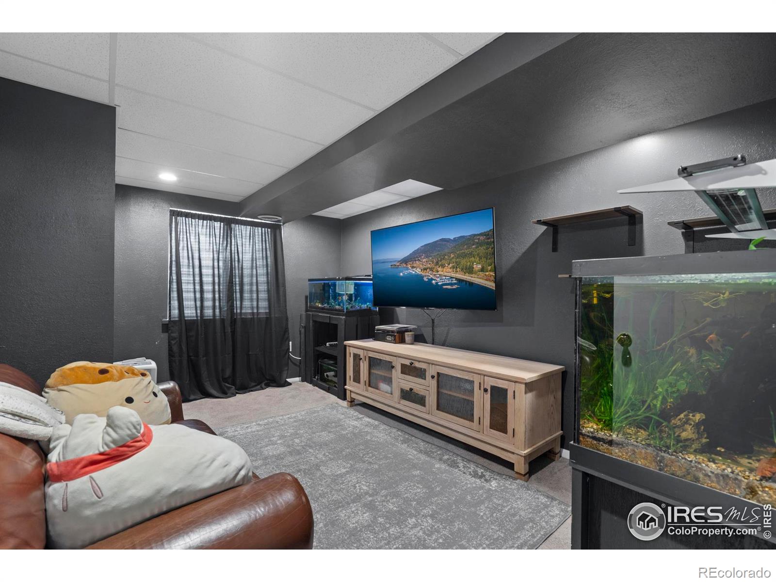 MLS Image #22 for 302 e 28th st dr,greeley, Colorado