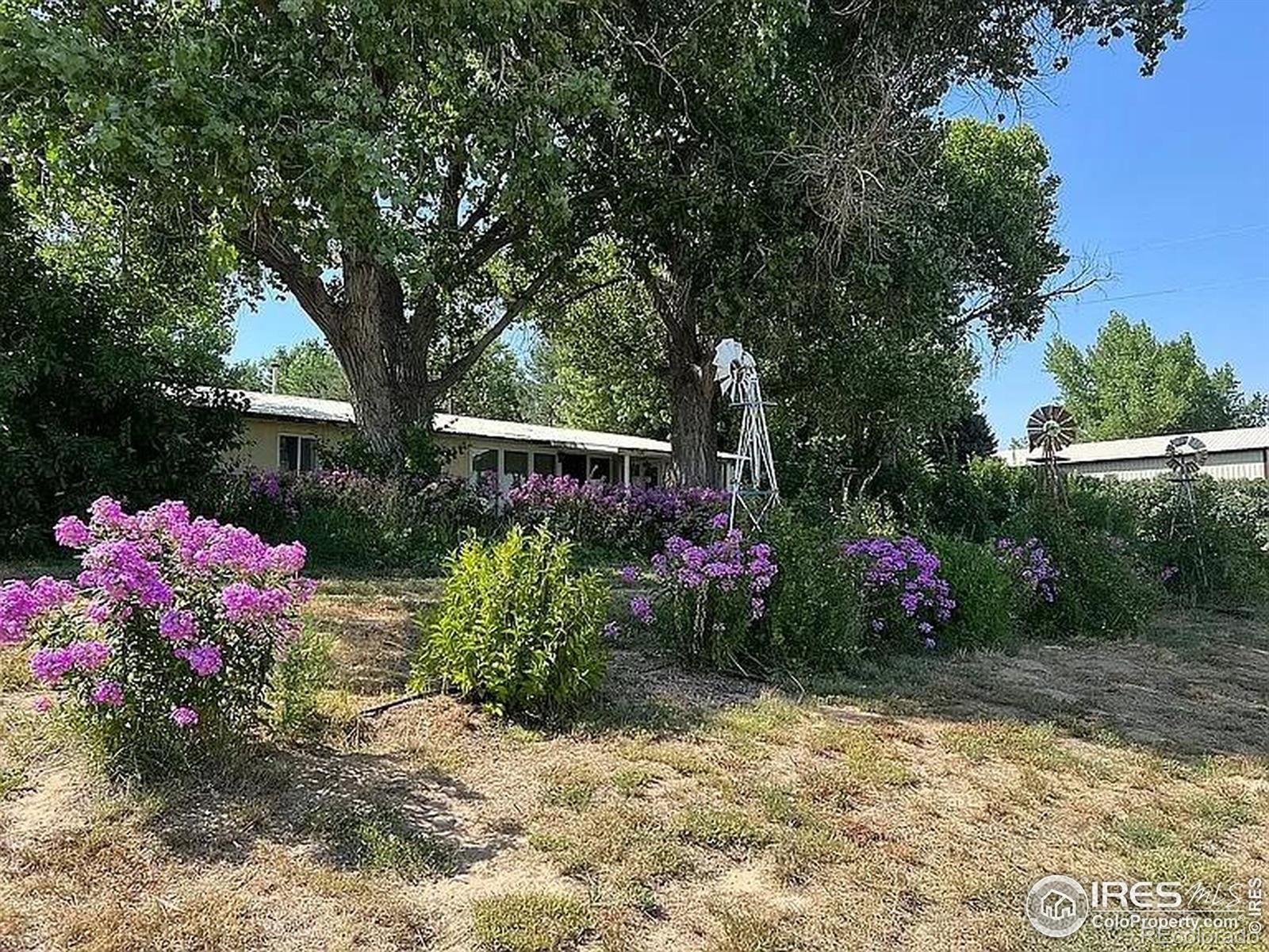 Report Image for 15721  County Road 1 ,Wiggins, Colorado