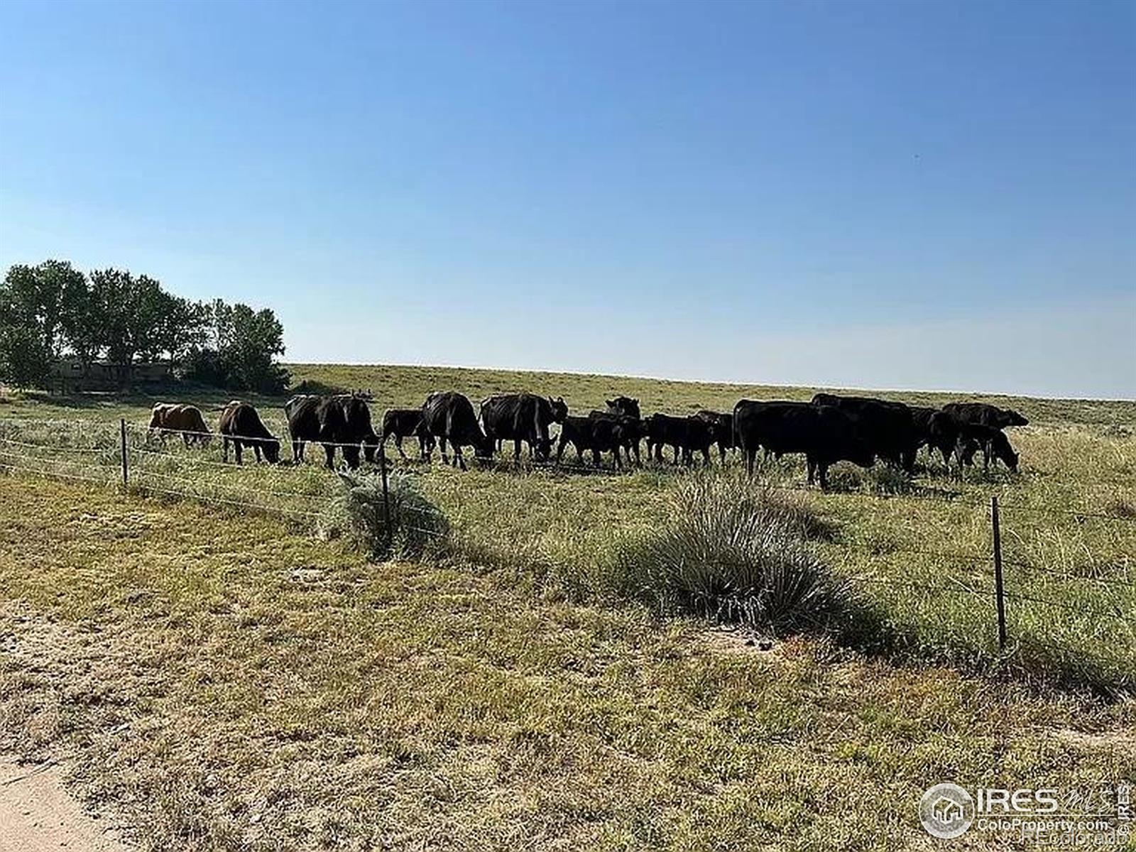 MLS Image #31 for 15721  county road 1 ,wiggins, Colorado