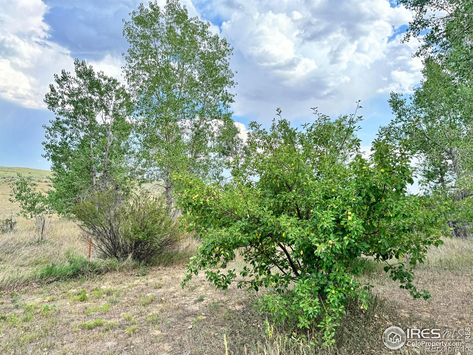 MLS Image #36 for 15721  county road 1 ,wiggins, Colorado