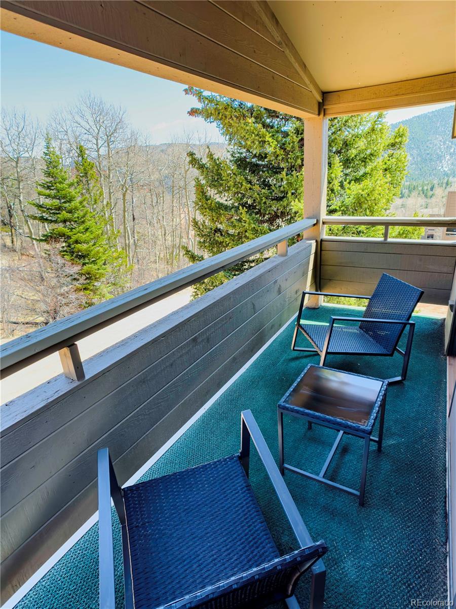MLS Image #13 for 1420  panadero avenue,la veta, Colorado