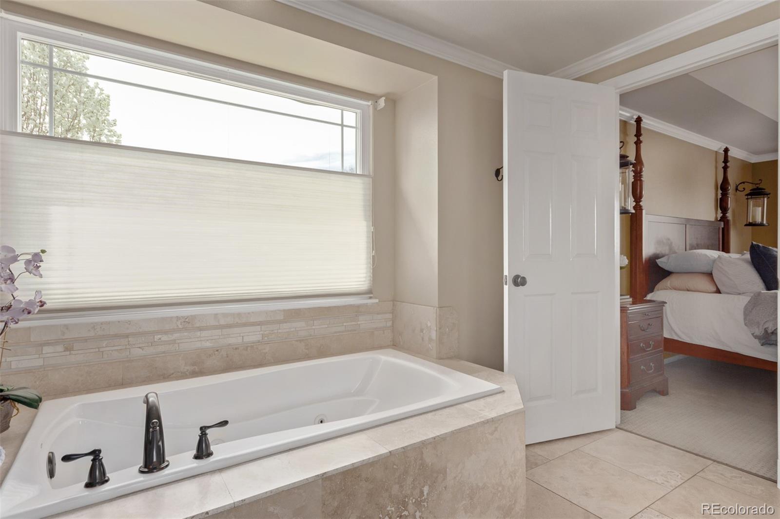MLS Image #25 for 1935  mountain laurel circle,highlands ranch, Colorado