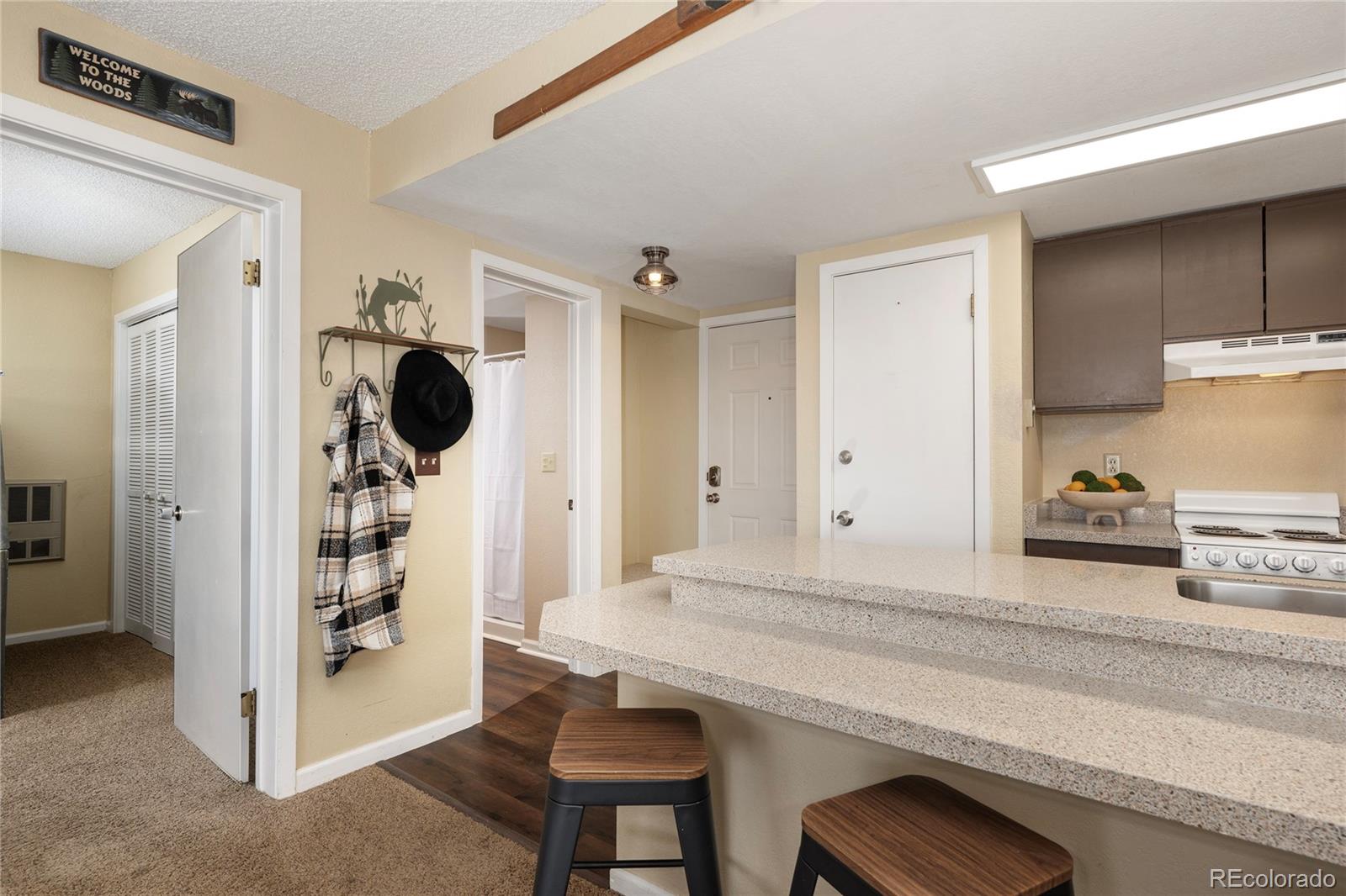 MLS Image #15 for 247  lake drive,granby, Colorado