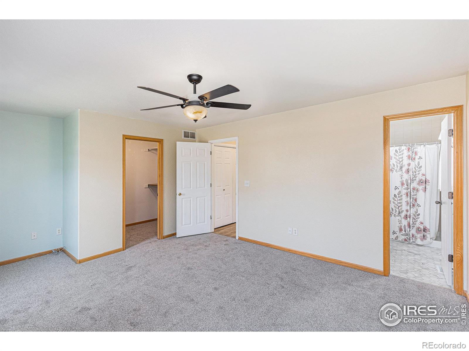 MLS Image #15 for 798  durum street,windsor, Colorado