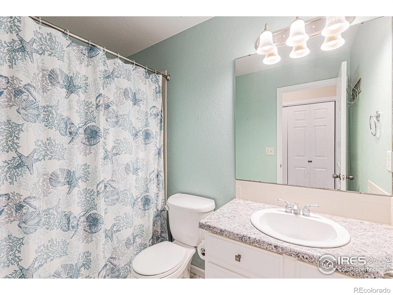 MLS Image #19 for 798  durum street,windsor, Colorado