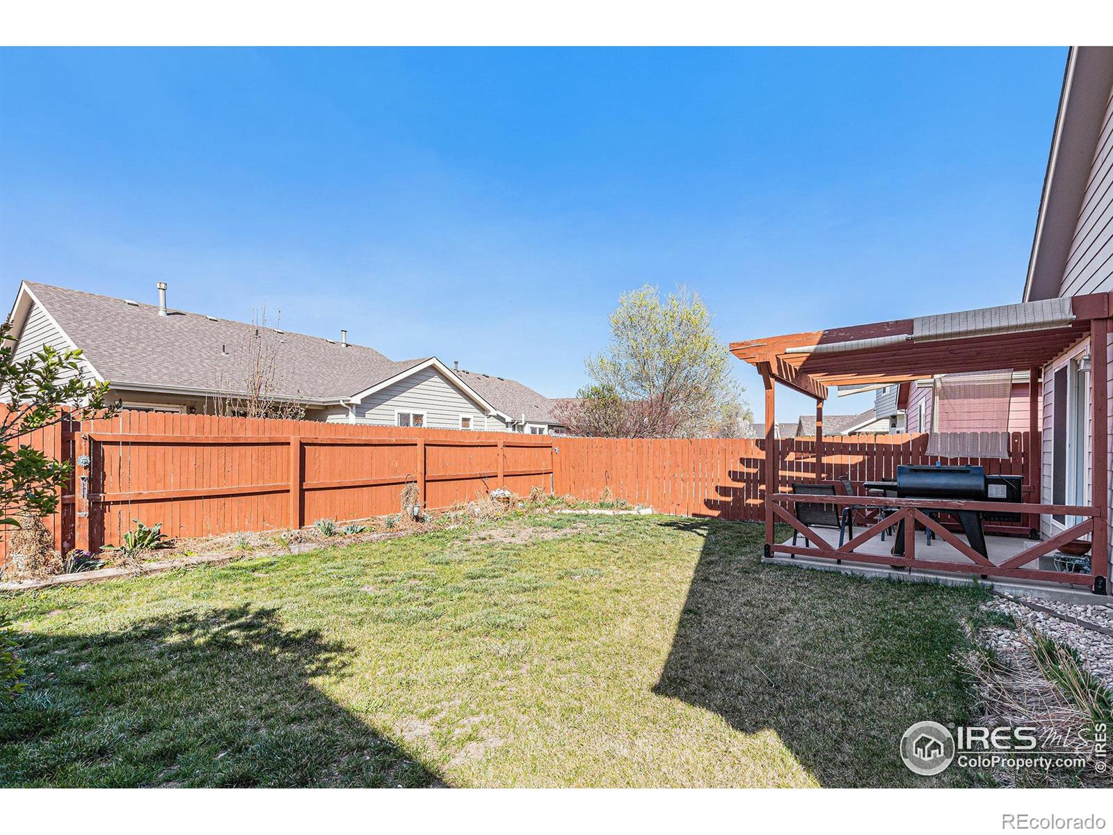 MLS Image #28 for 798  durum street,windsor, Colorado
