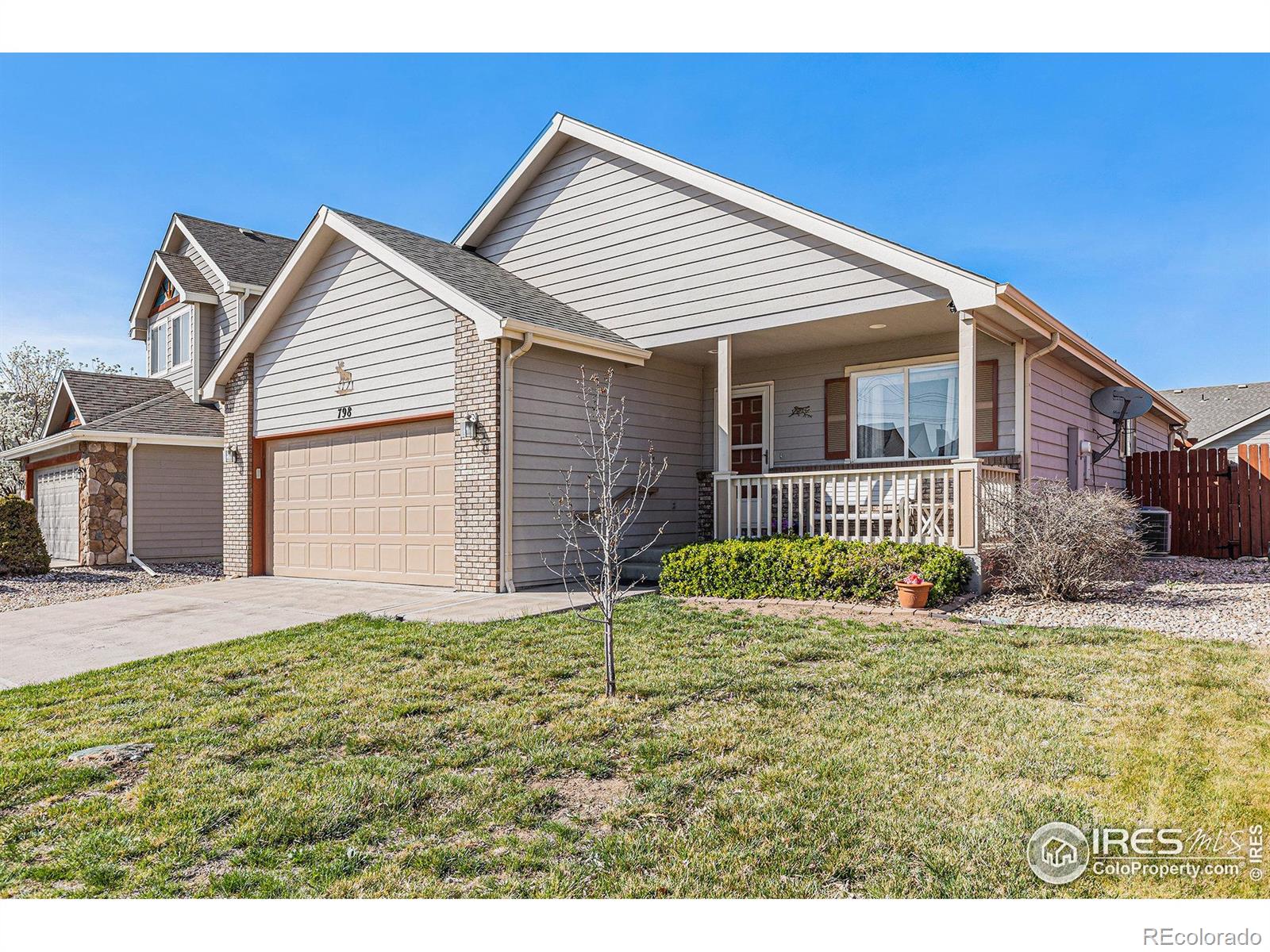 MLS Image #3 for 798  durum street,windsor, Colorado