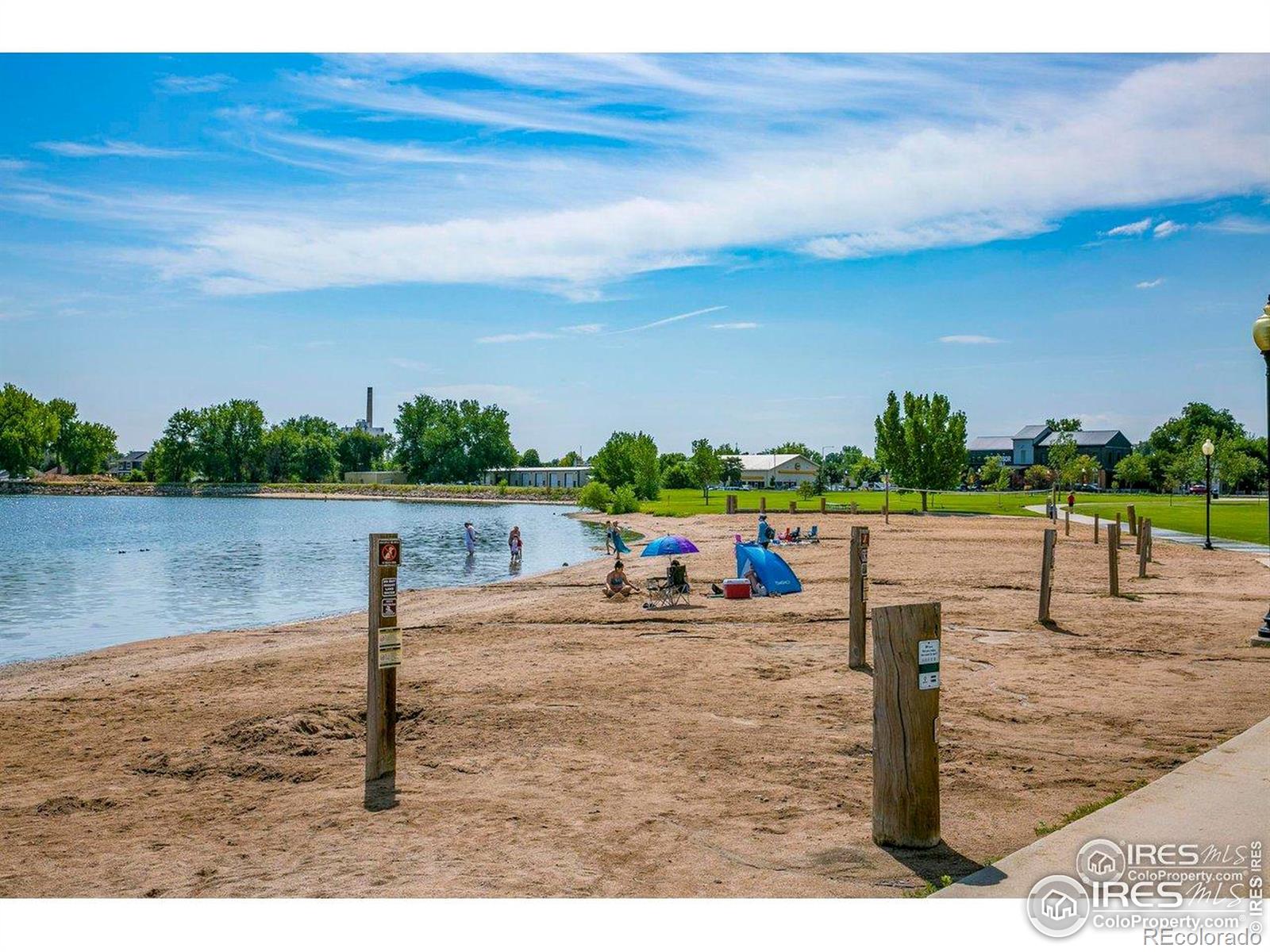 MLS Image #34 for 798  durum street,windsor, Colorado