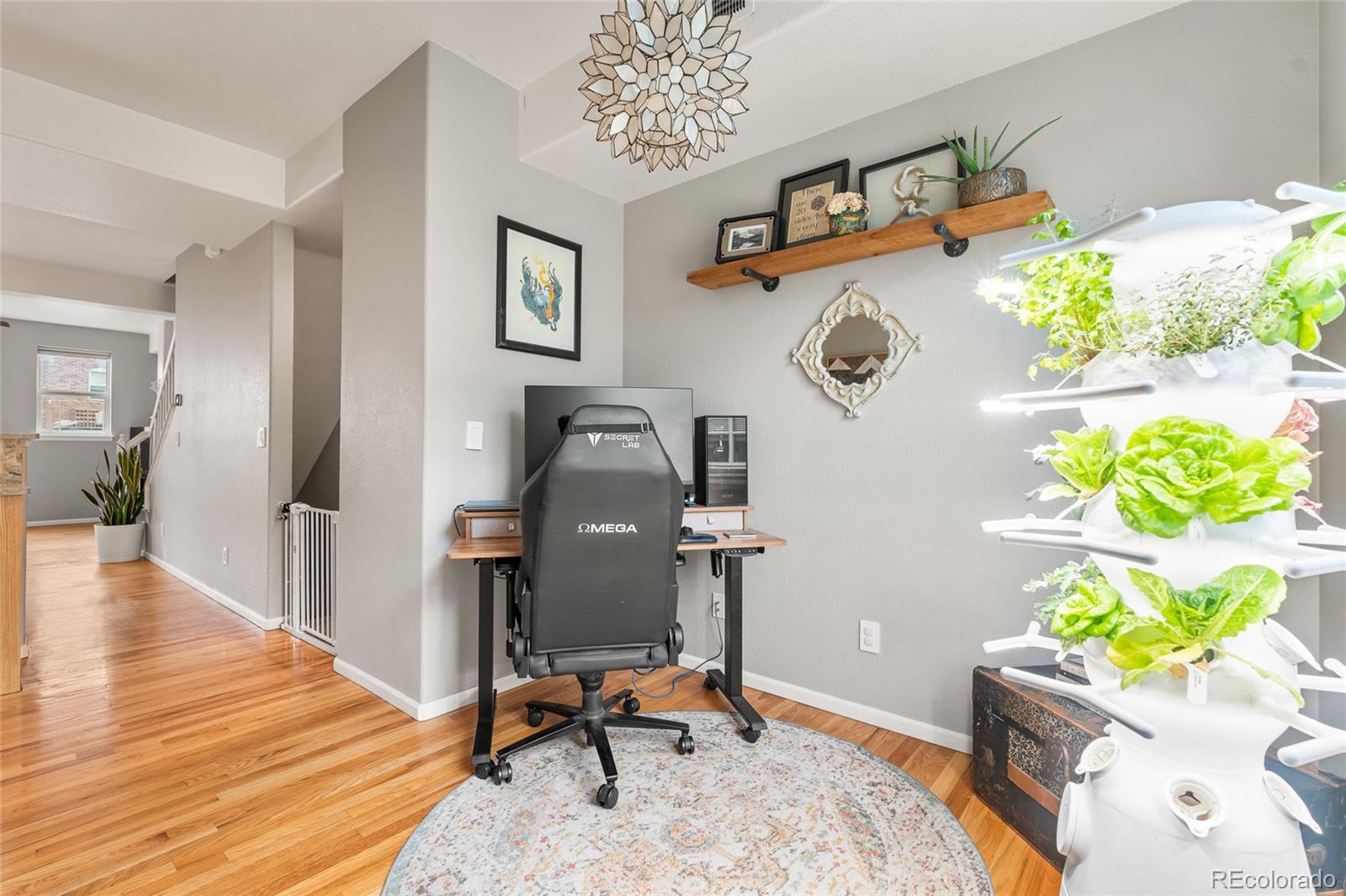 MLS Image #18 for 5428  zephyr court,arvada, Colorado