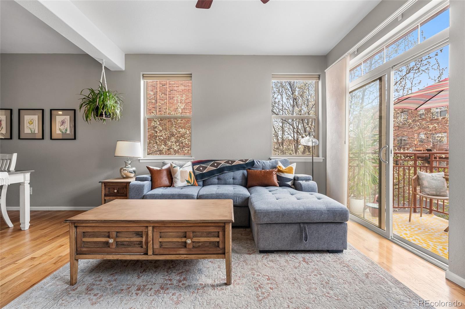 MLS Image #9 for 5428  zephyr court,arvada, Colorado