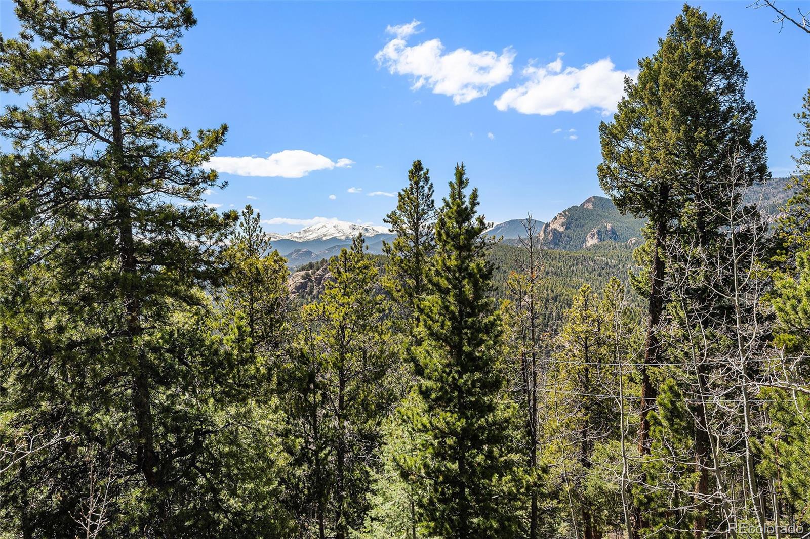 MLS Image #3 for 11557  green circle,conifer, Colorado
