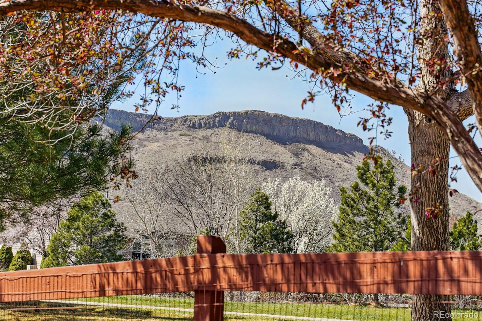 MLS Image #39 for 6273  torrey lane,arvada, Colorado