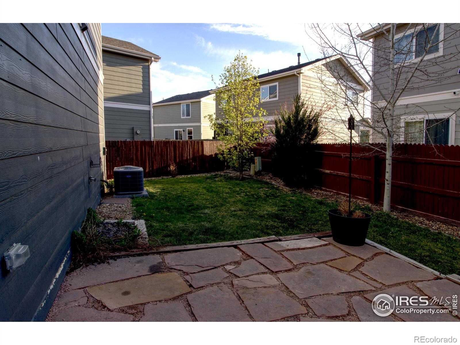 MLS Image #16 for 10591  forester place,longmont, Colorado