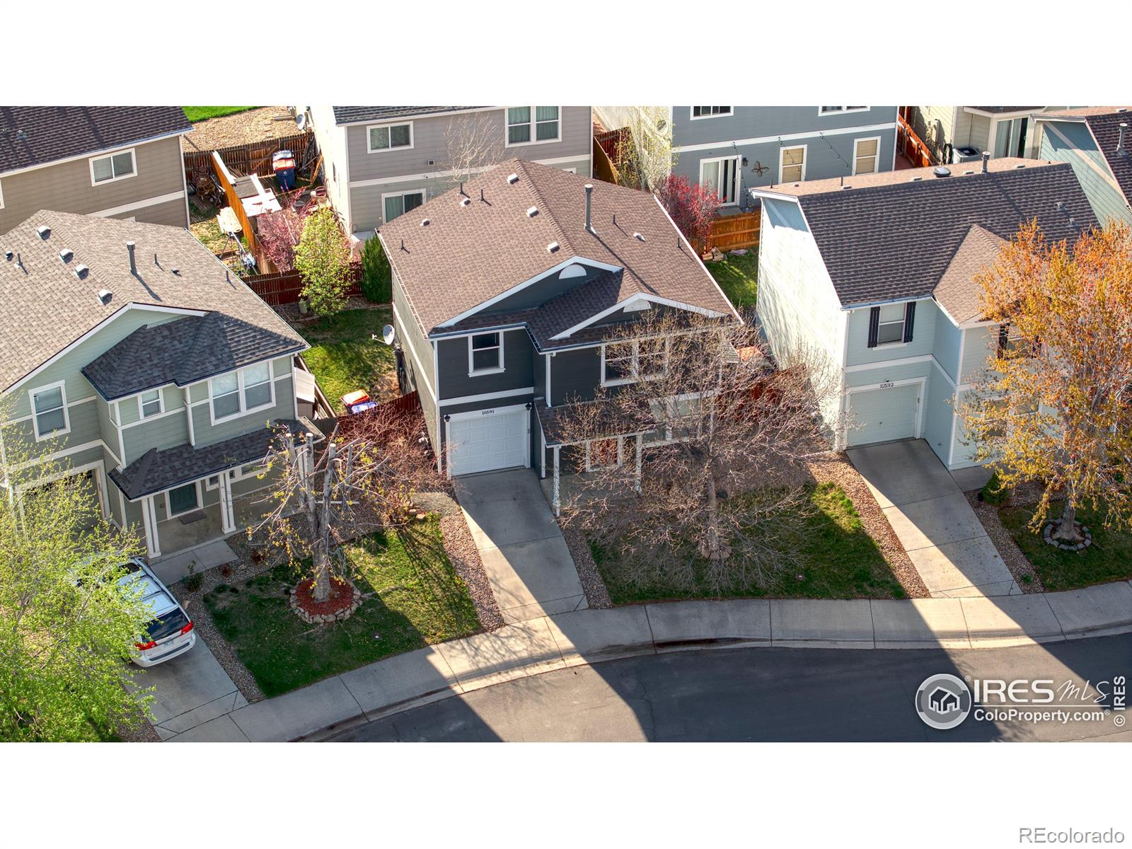 MLS Image #20 for 10591  forester place,longmont, Colorado