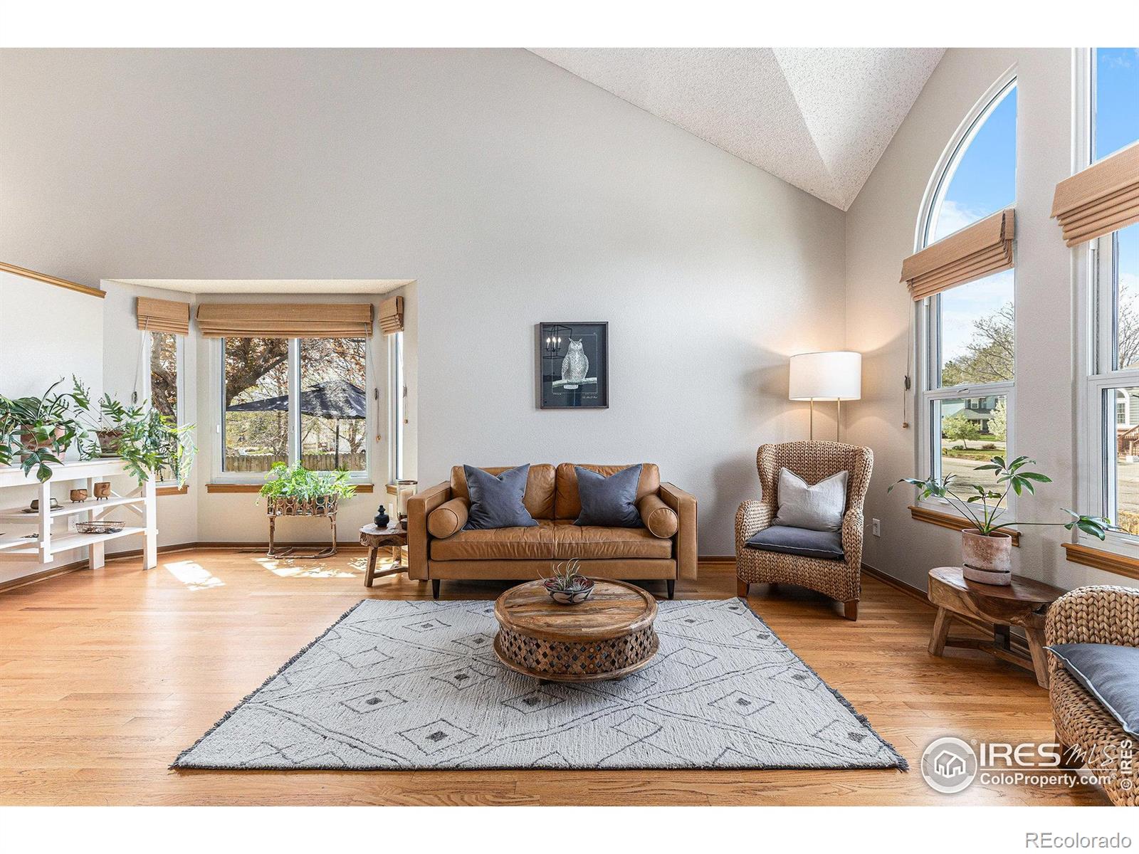 MLS Image #2 for 13080 w 61st circle,arvada, Colorado
