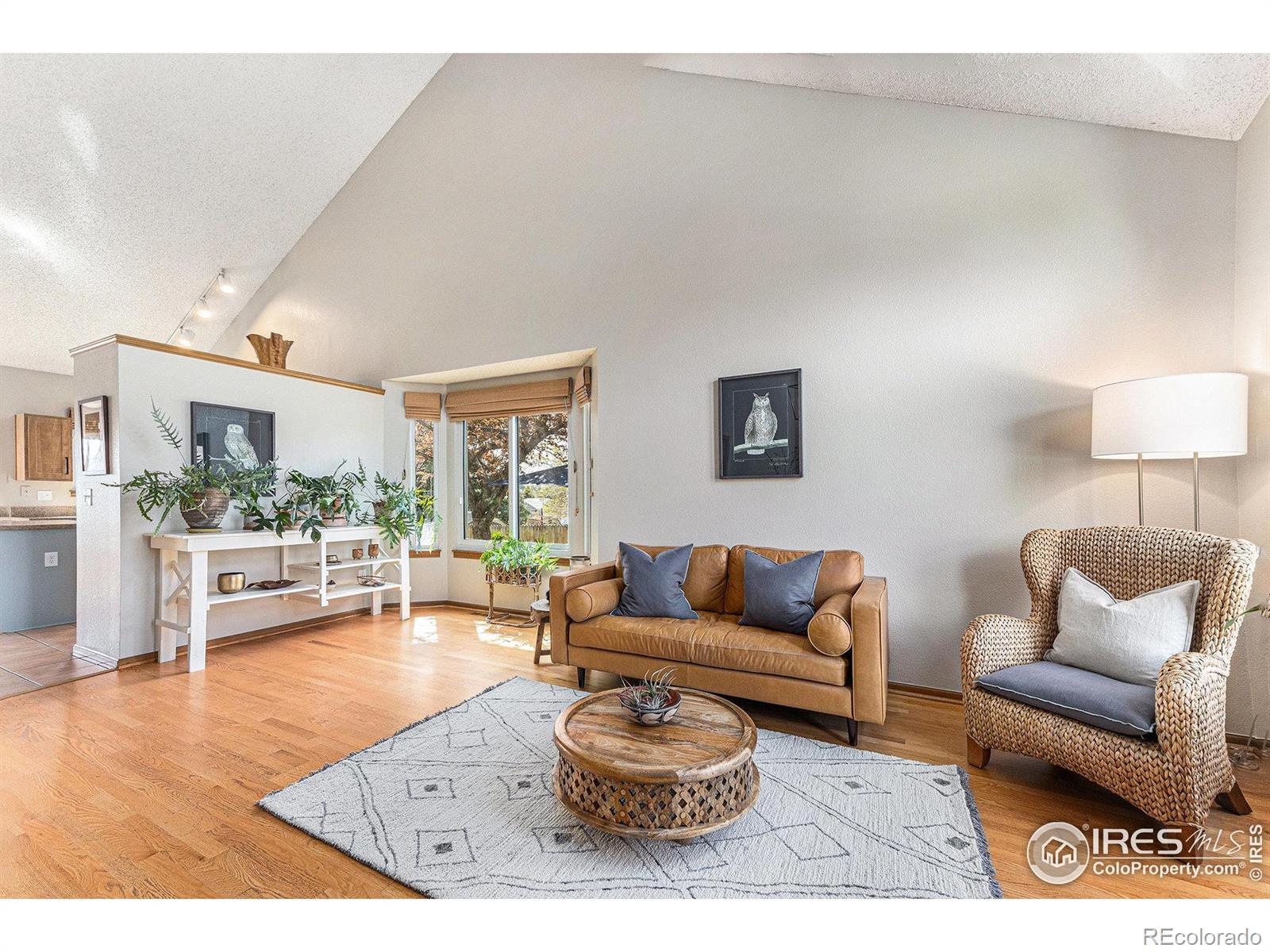 MLS Image #4 for 13080 w 61st circle,arvada, Colorado