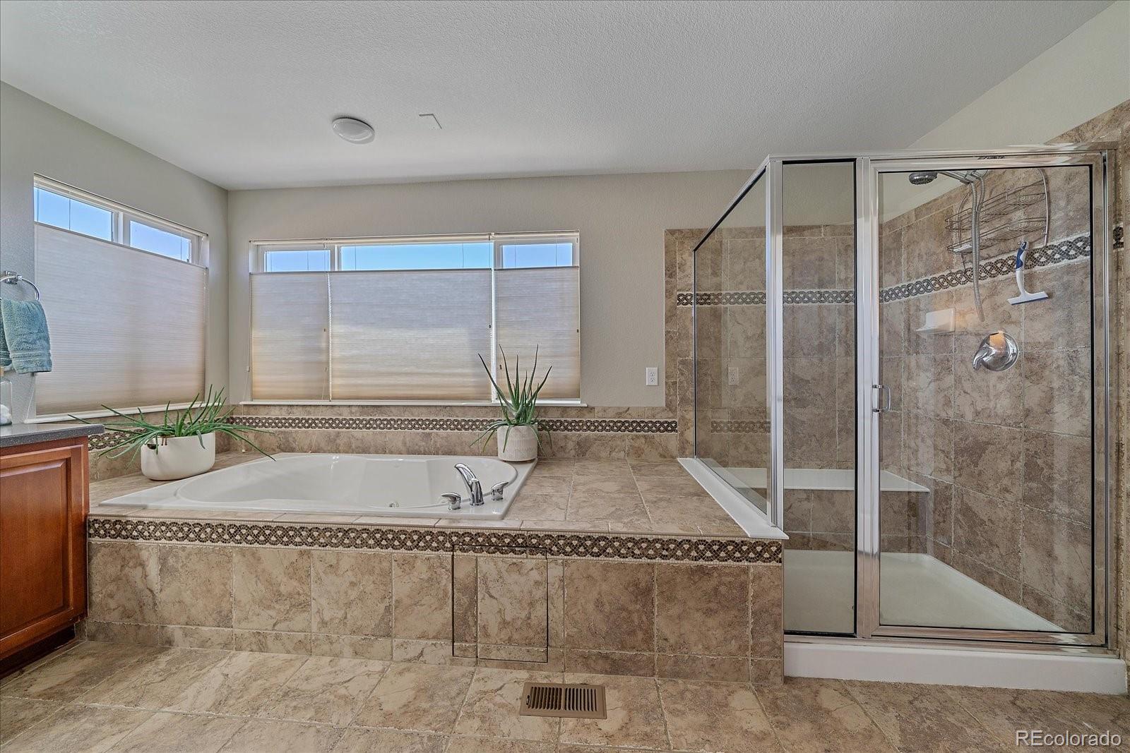 MLS Image #22 for 23298  barnsley lane,parker, Colorado