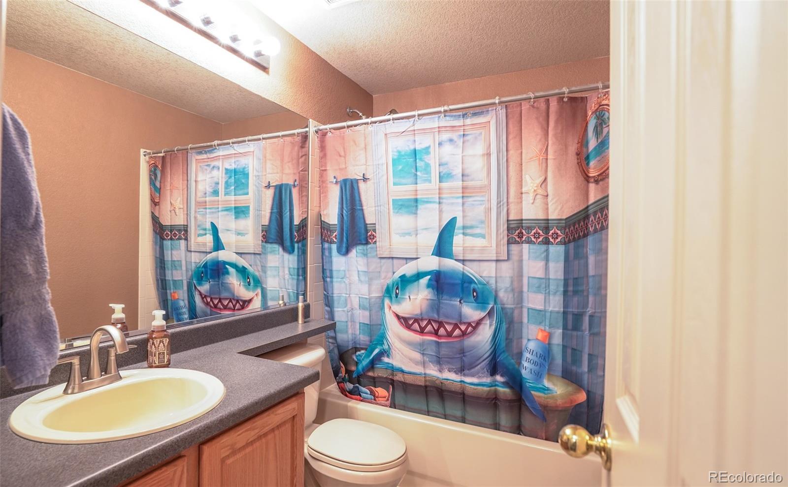 MLS Image #18 for 12606 s sopris creek drive,parker, Colorado
