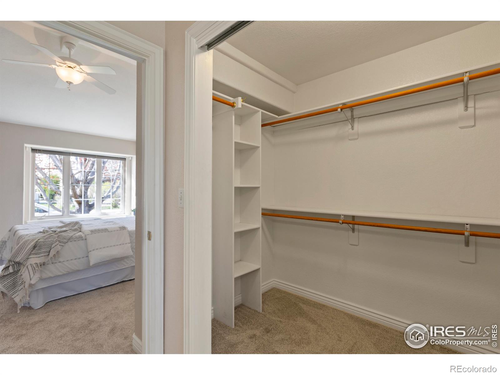 MLS Image #23 for 4748  westbury drive,fort collins, Colorado