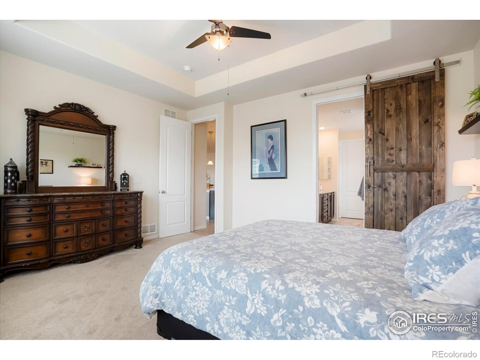 MLS Image #14 for 16024  columbine street,thornton, Colorado
