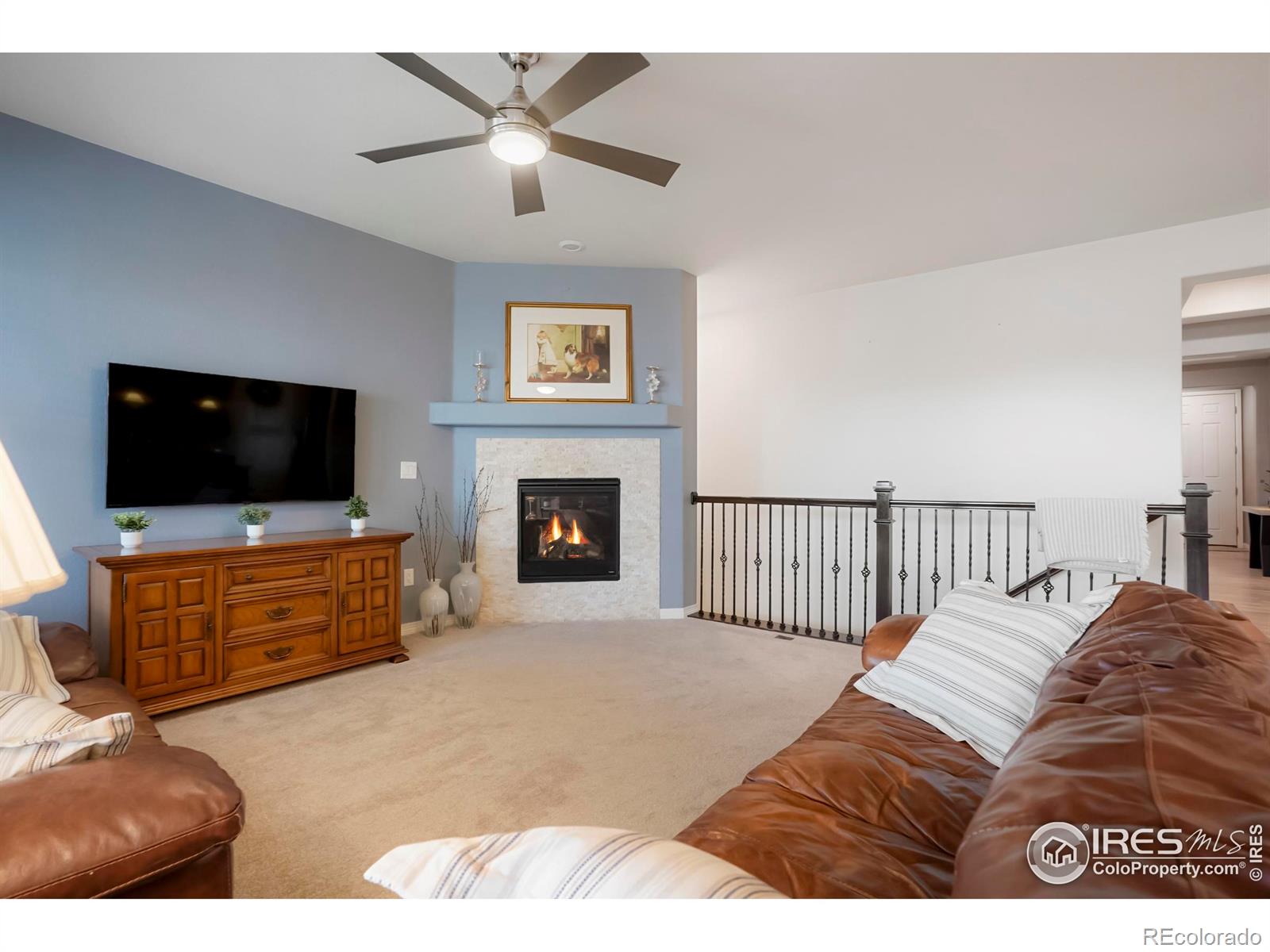 MLS Image #7 for 16024  columbine street,thornton, Colorado