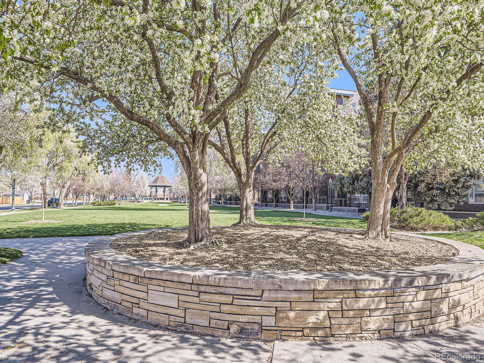 MLS Image #41 for 5703  ammons street,arvada, Colorado