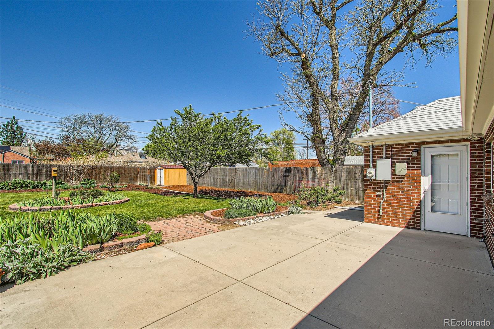 MLS Image #5 for 5703  ammons street,arvada, Colorado