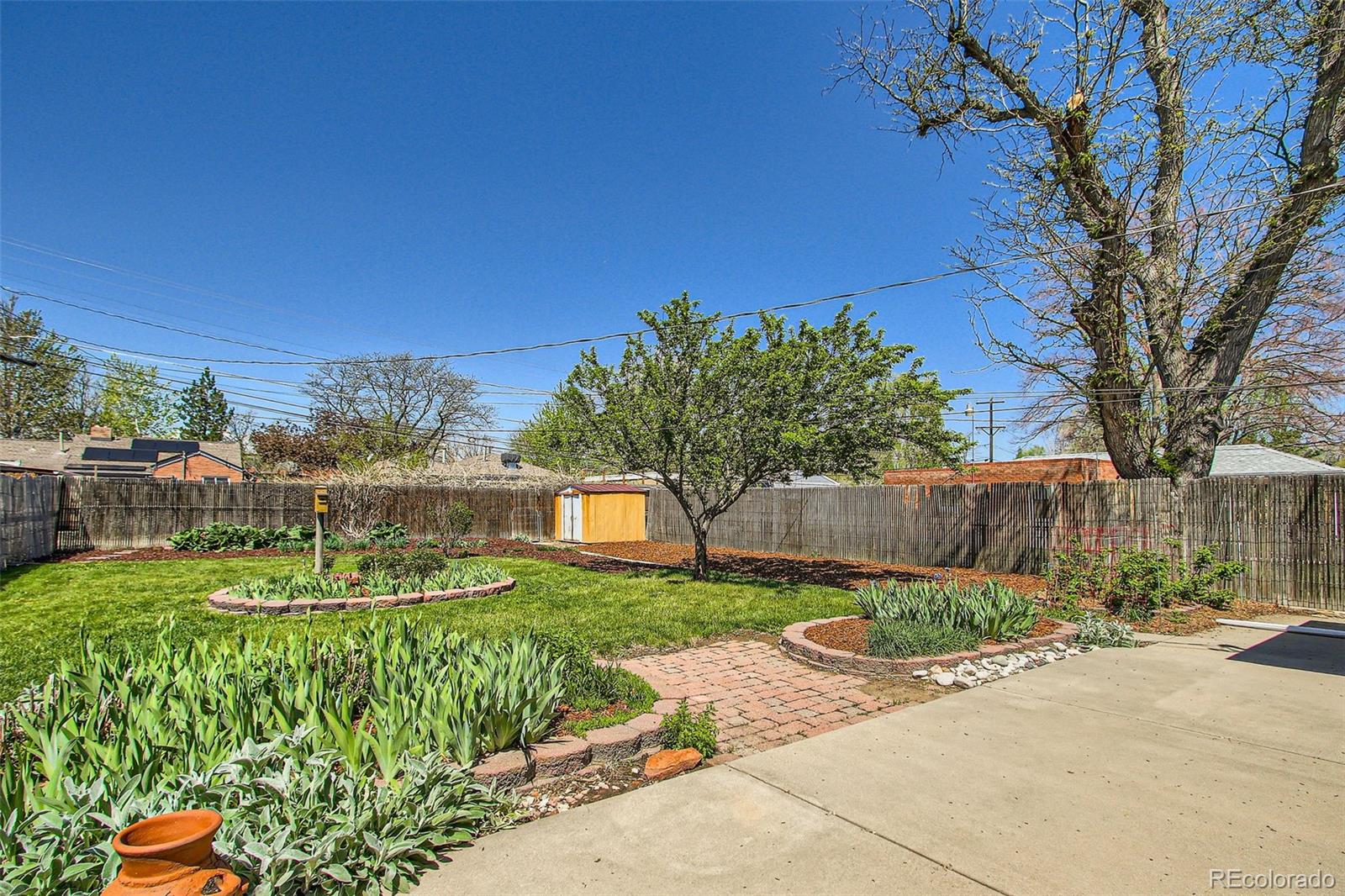 MLS Image #6 for 5703  ammons street,arvada, Colorado