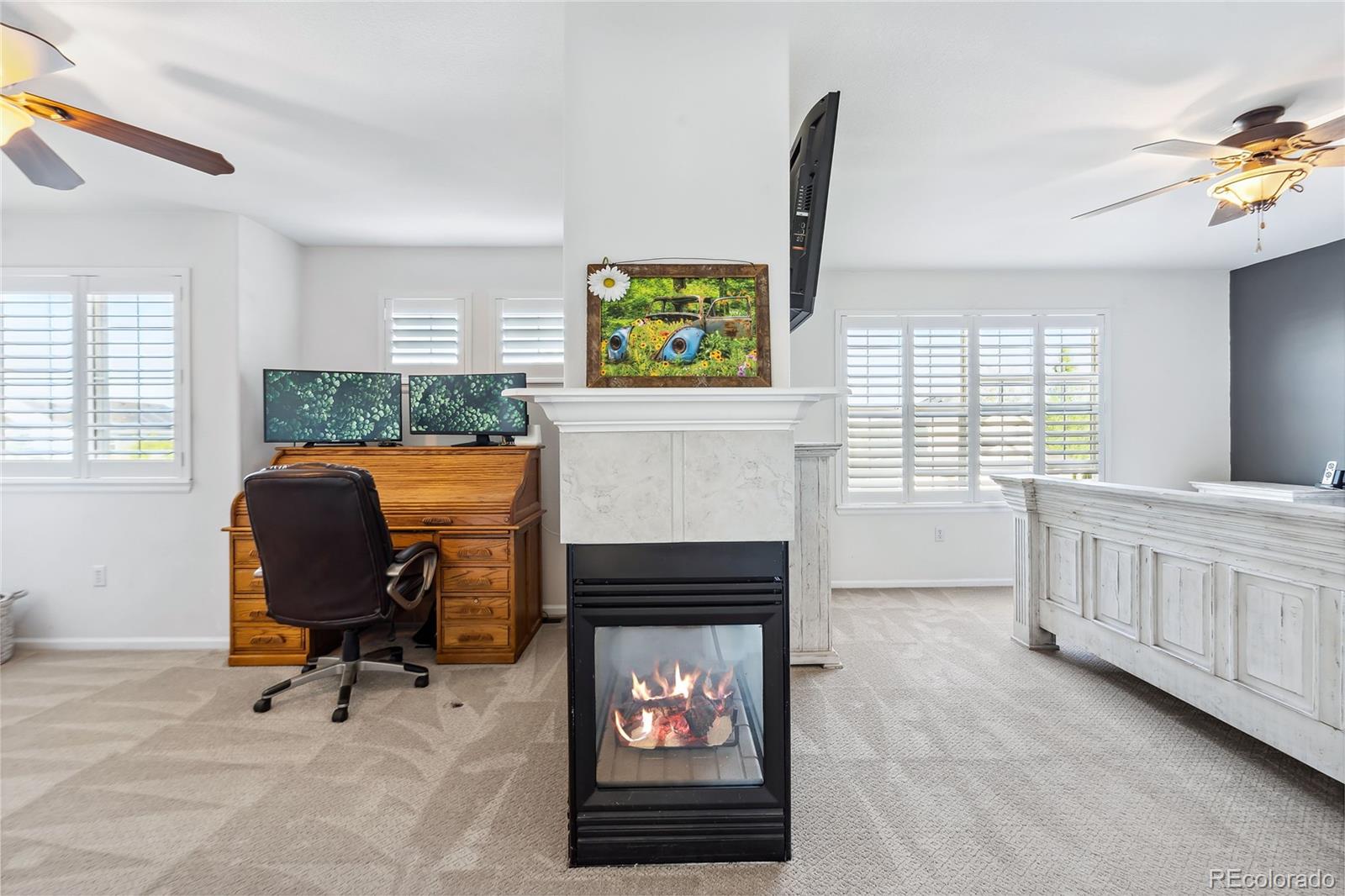 MLS Image #21 for 1195 n tabor drive,castle rock, Colorado
