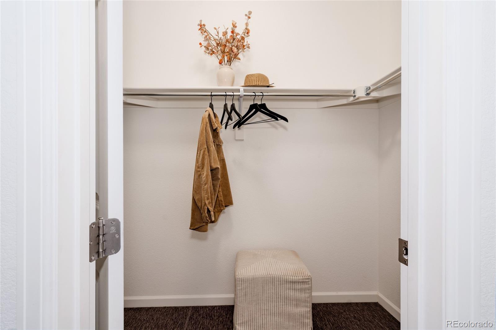 MLS Image #31 for 834  eva peak drive,erie, Colorado