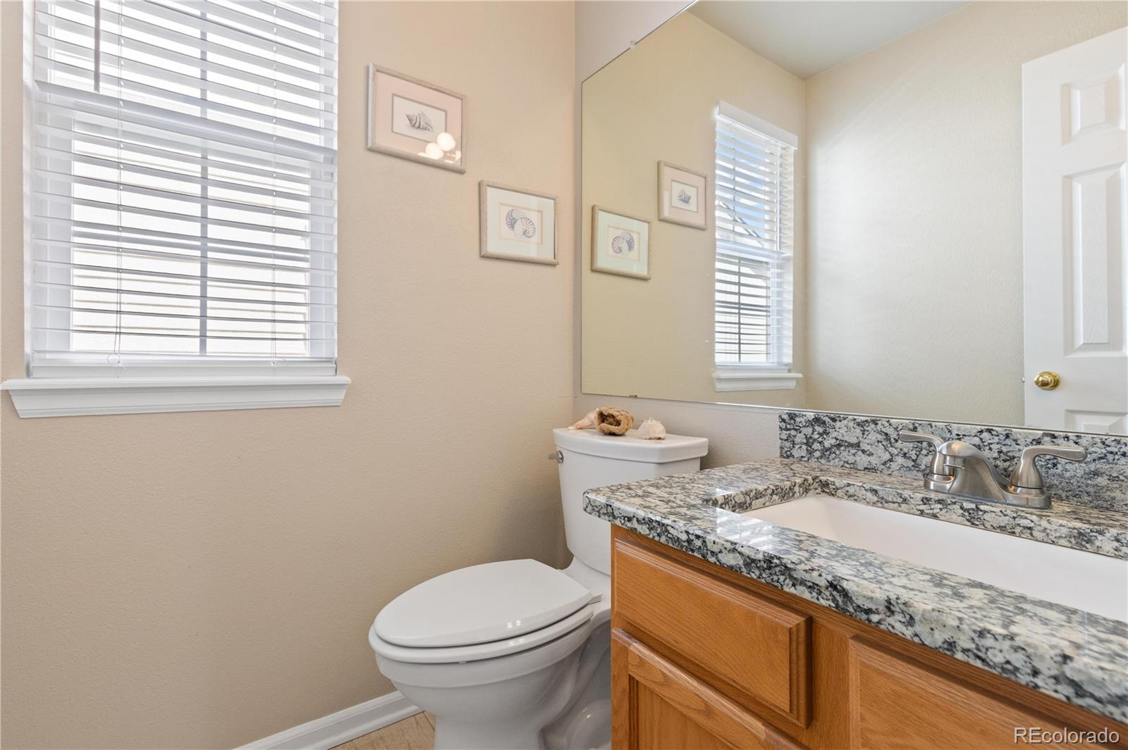 MLS Image #11 for 1018  mulberry lane,highlands ranch, Colorado