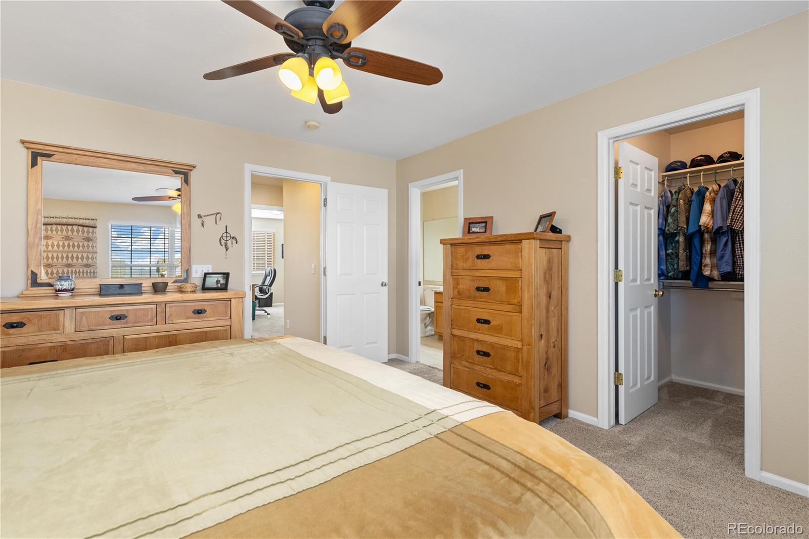 MLS Image #13 for 1018  mulberry lane,highlands ranch, Colorado